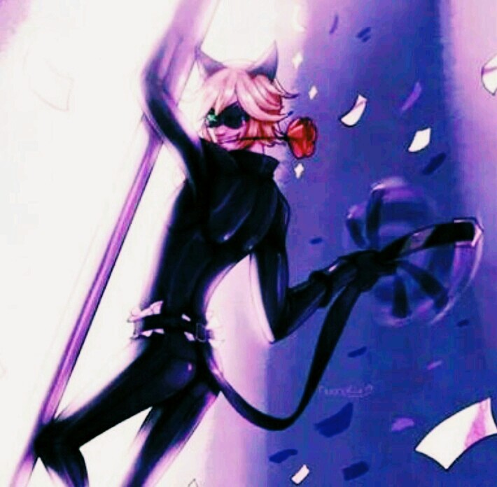 Chat noir *Miraculous*