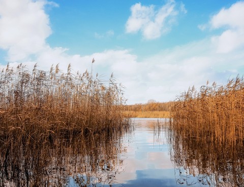 обои lake, wind