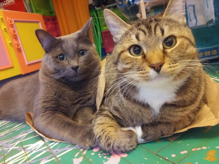 Friends