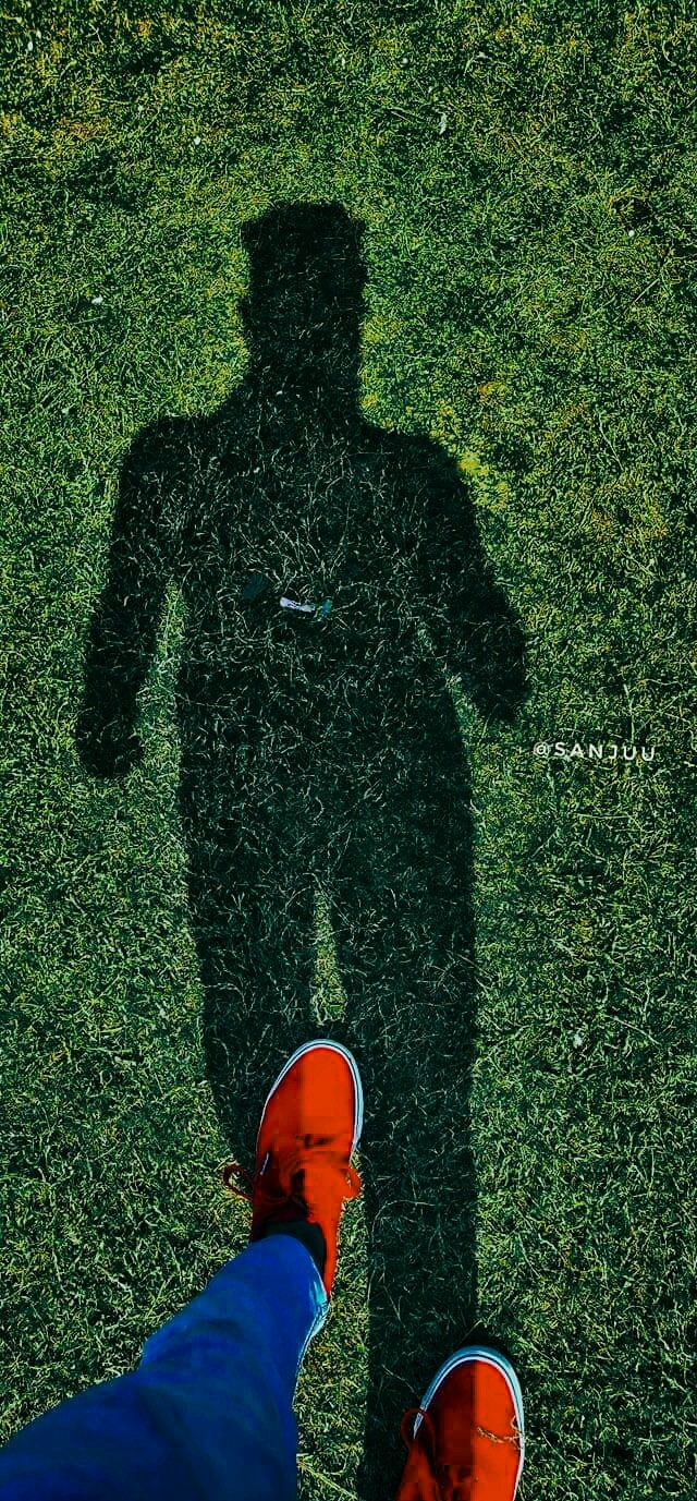 shadow