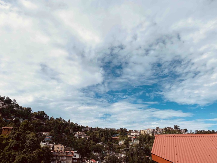 Shimla Dairy