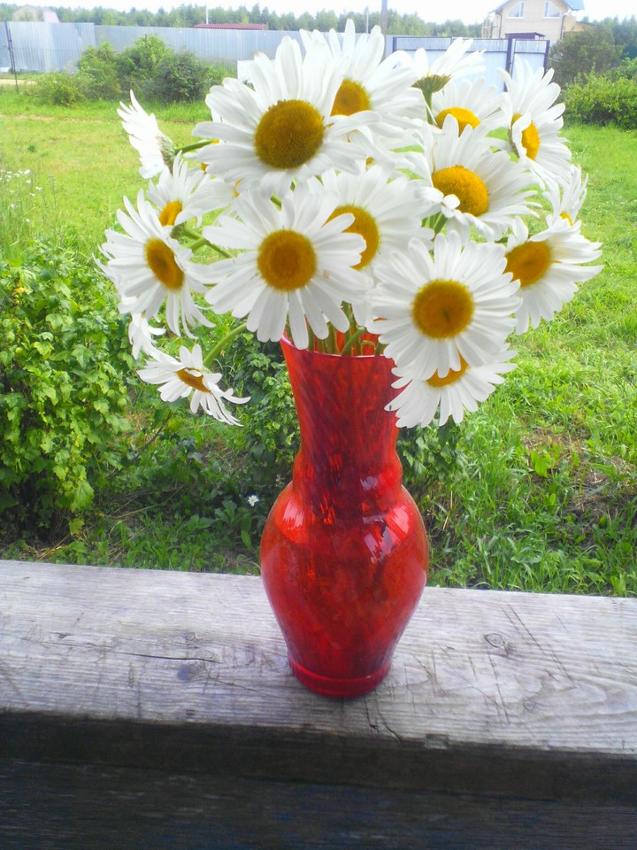 flower