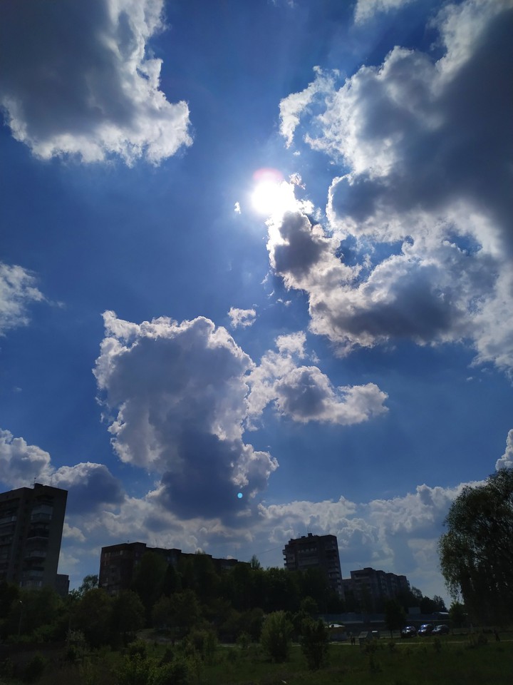 Sunny day
