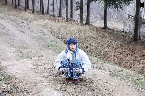 방탄의 지민 ?