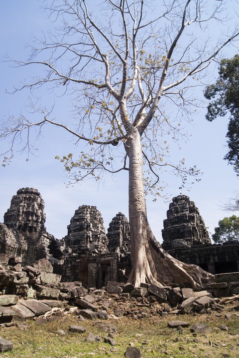 Travel