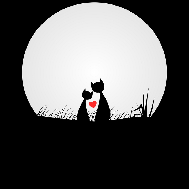 Cats Love