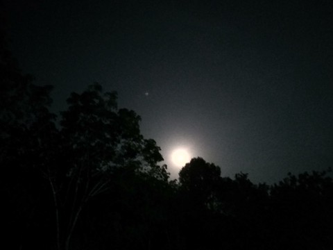 Night
