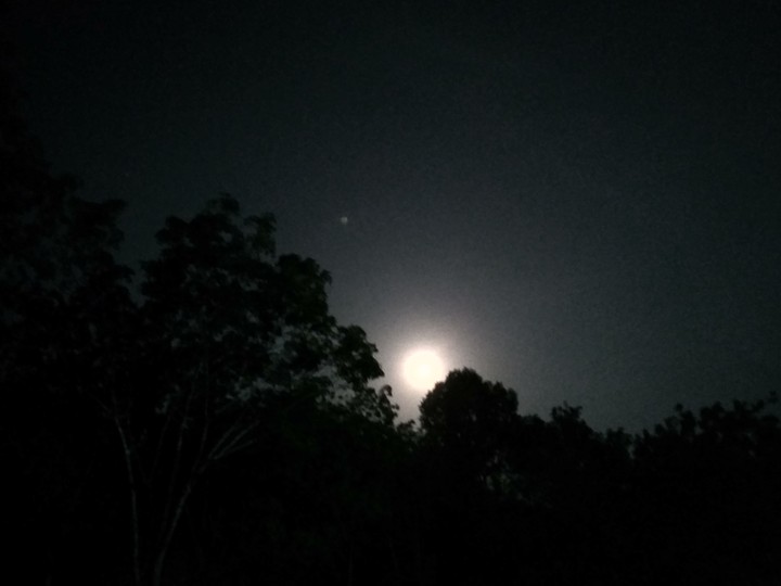 Night