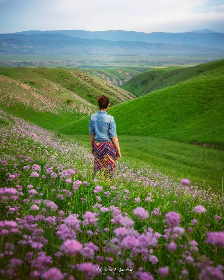 Golestan Nature