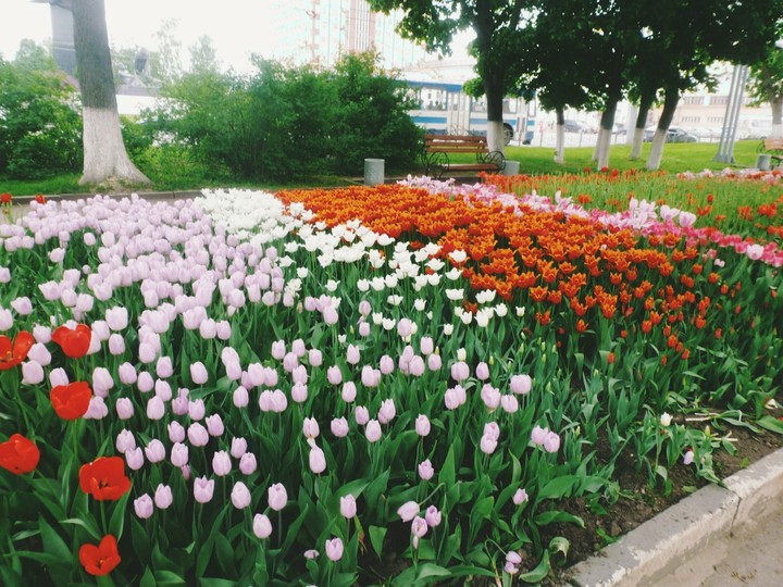 Real beauty