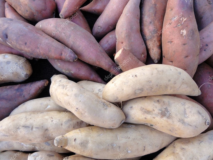 Jamgyökér/Yam