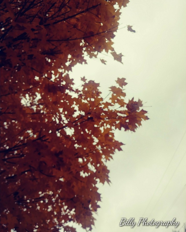 billy photography
