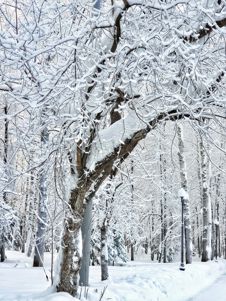 Snow fairy tale