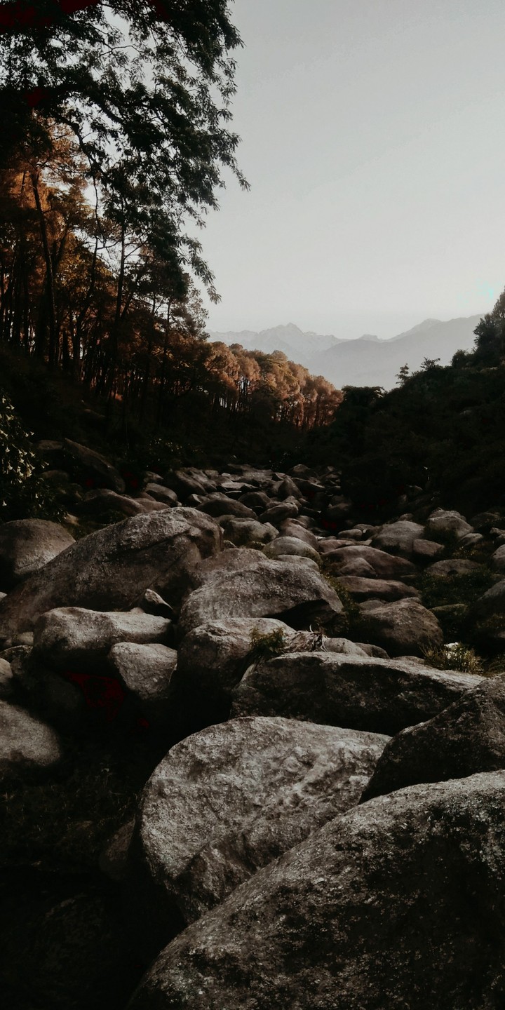 Himachal
