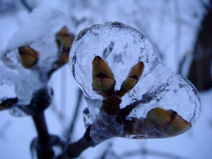 frozen spring