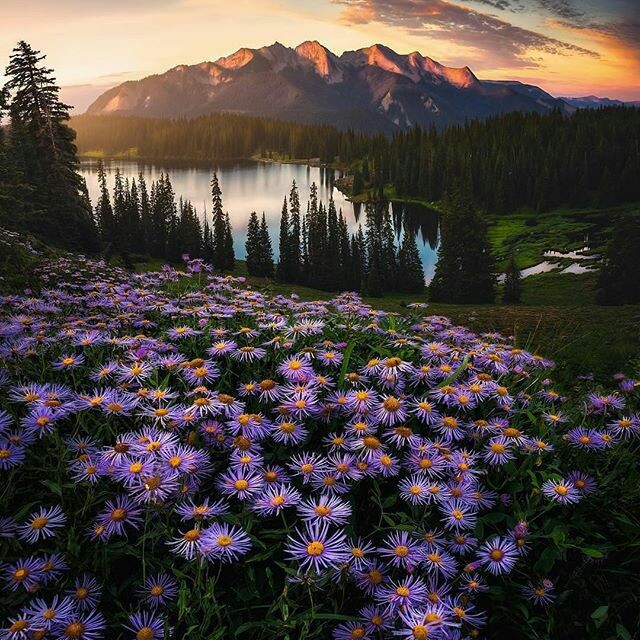 NATURE