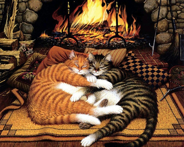 Cats