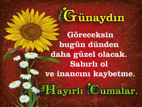 Amin