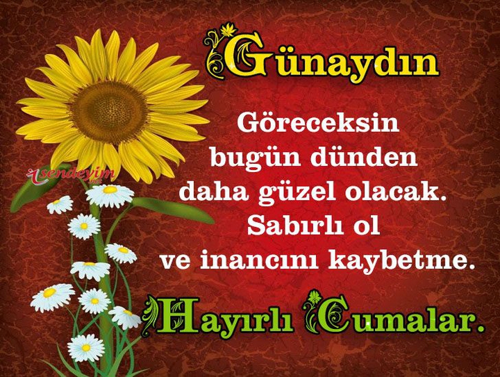 Amin