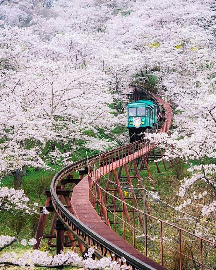 beautiful