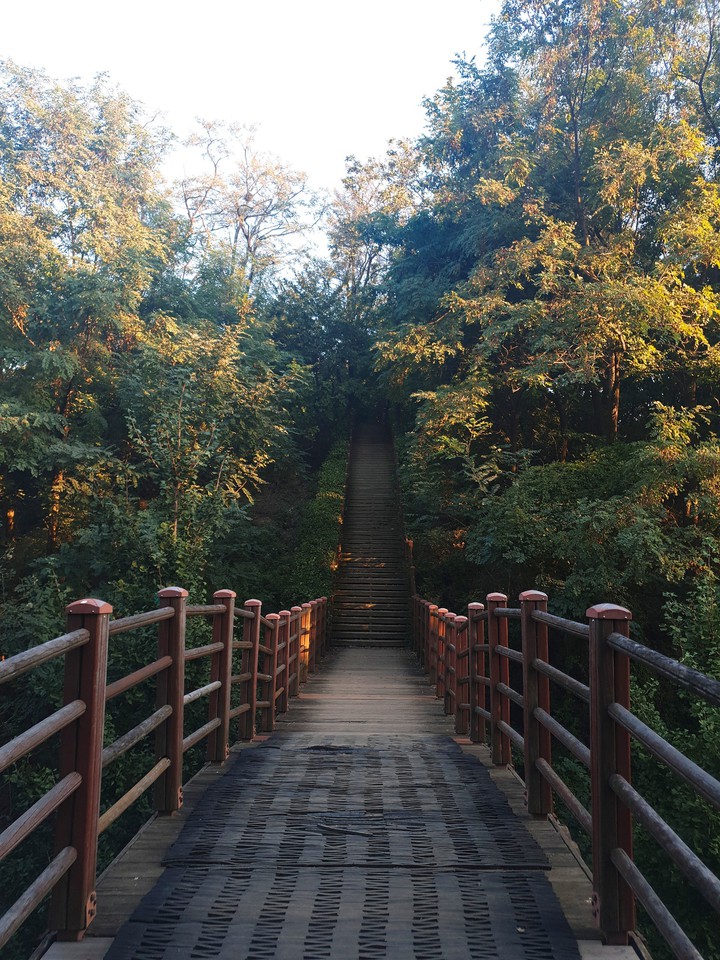 등산