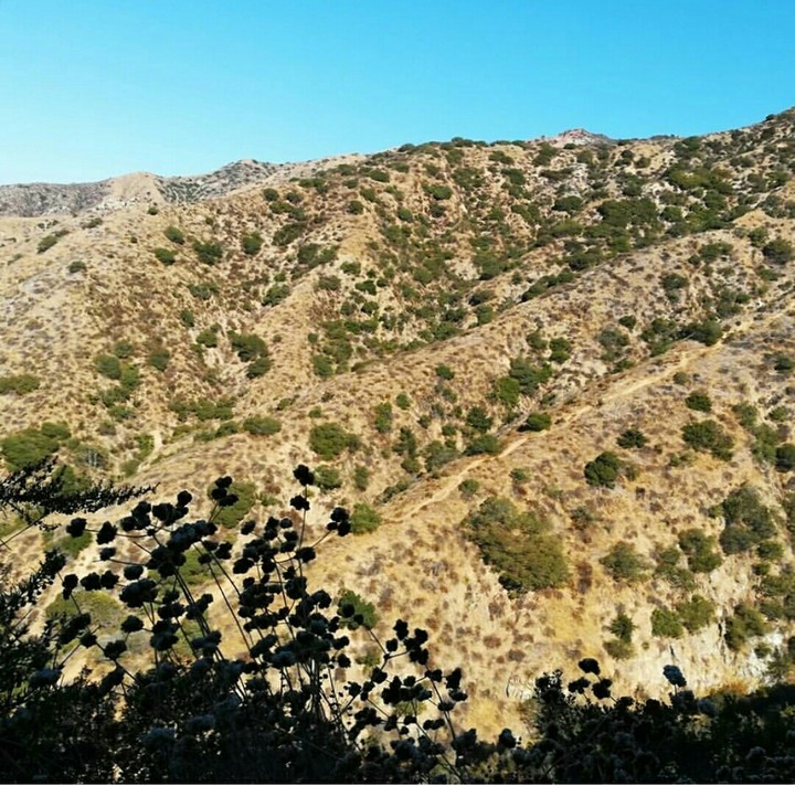 Verdugo Mountains