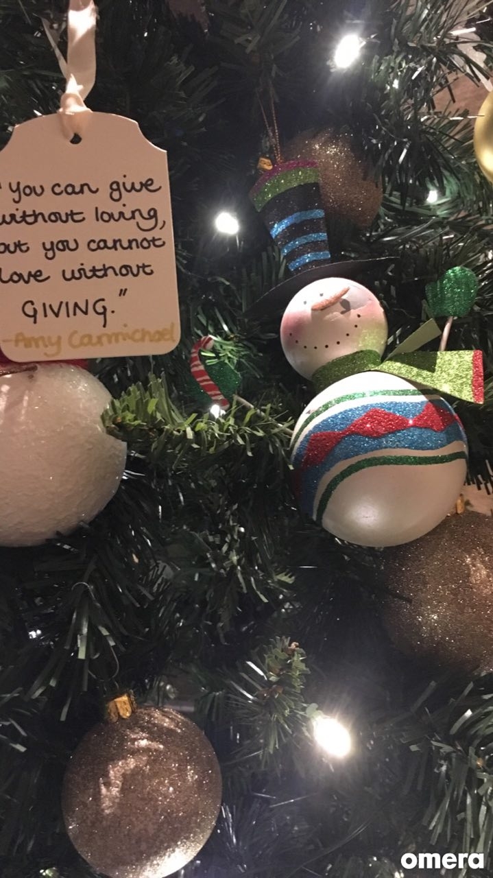 Various Christmas Tree decorations