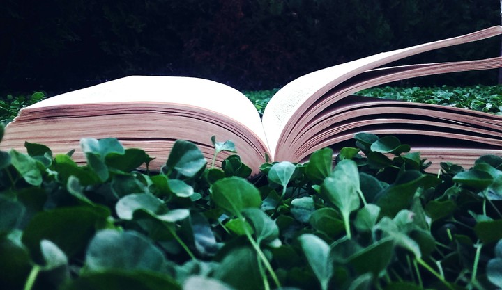 Book