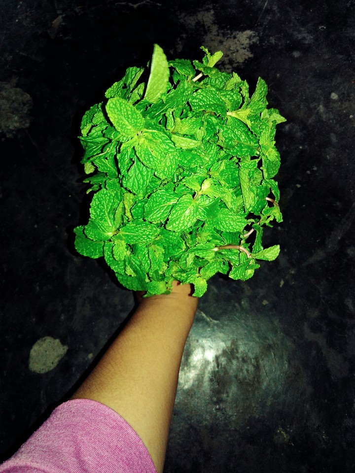 mint