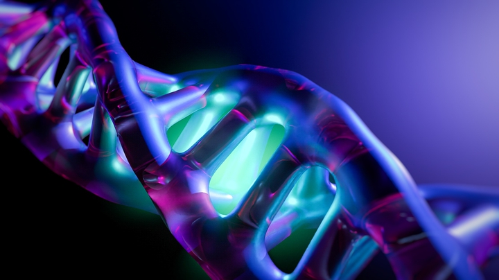 DNA ( днк )