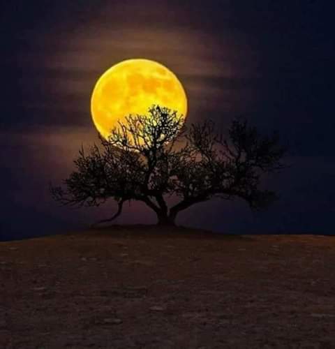 hermoso