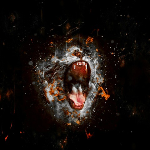 tiger