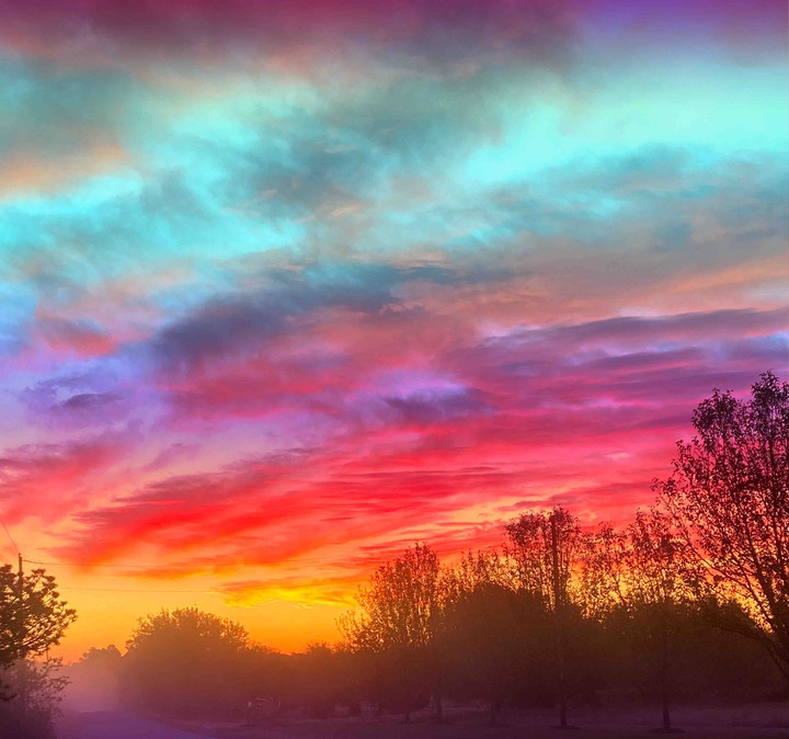 cotton candy