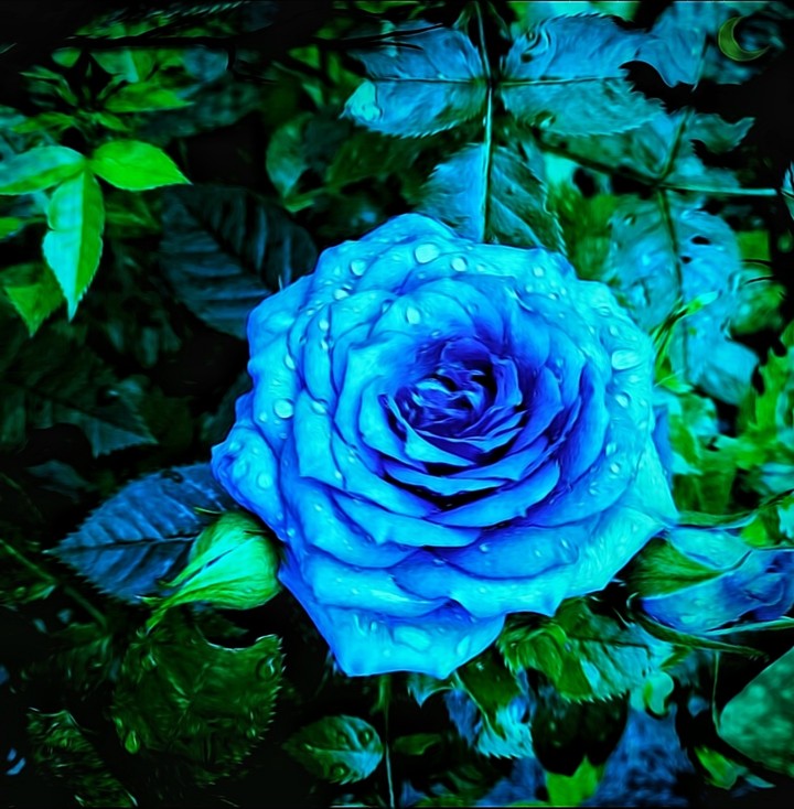 For you ❤️ dear Gabriel ❤️