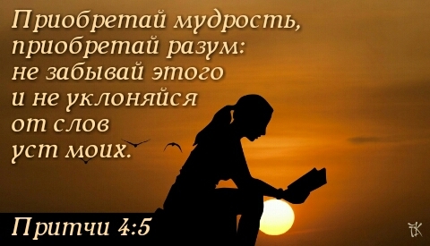 look for wisdom