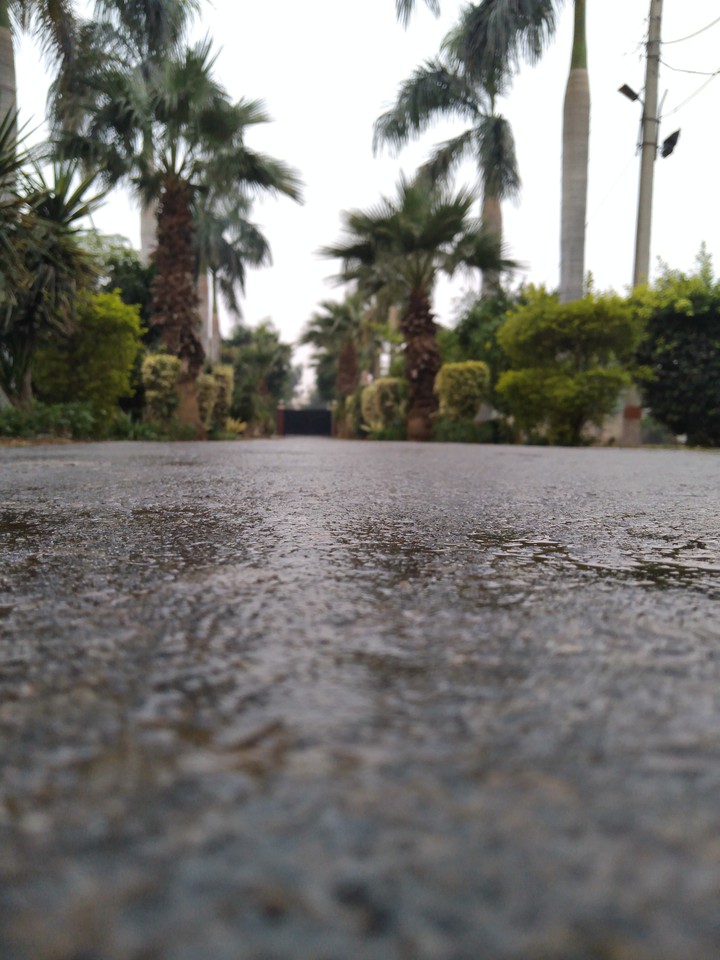 on the way