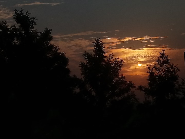 Dawn