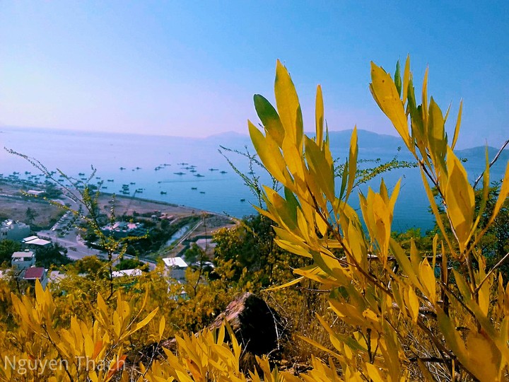 Nha Trang . Viet Nam
