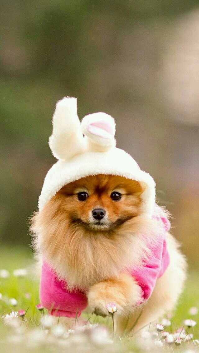 :):-):)