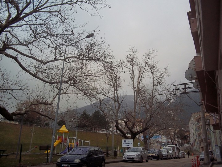 Bayır