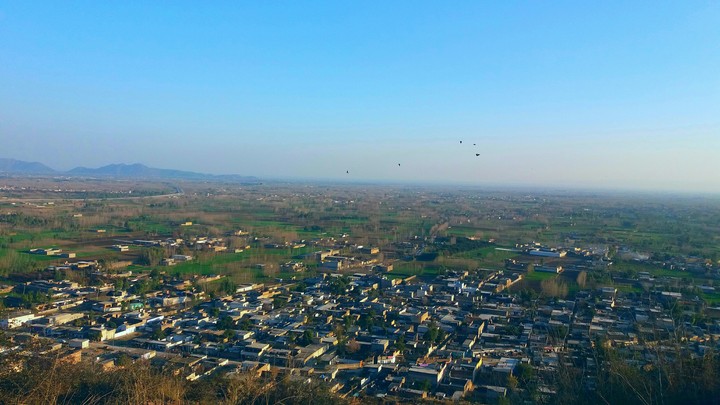 crowd of houses