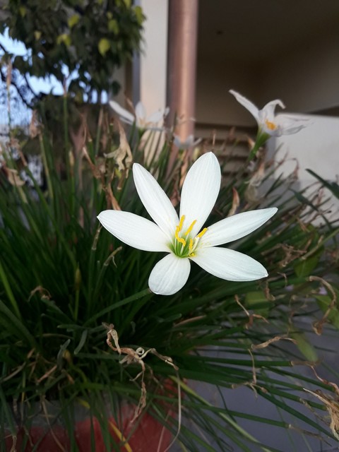 nature