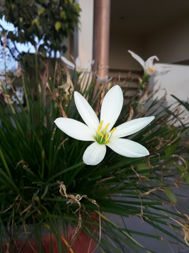 nature
