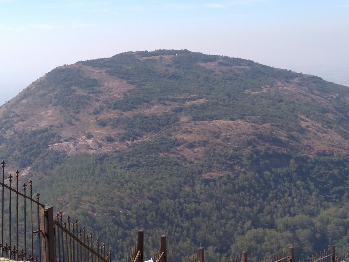 Mountain