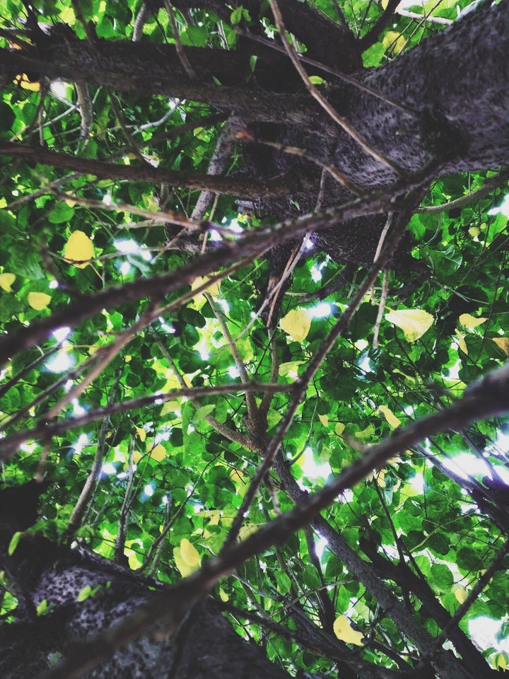 clicked by me