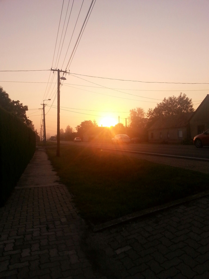 Morning
