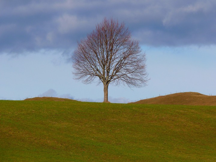 nature is awesome