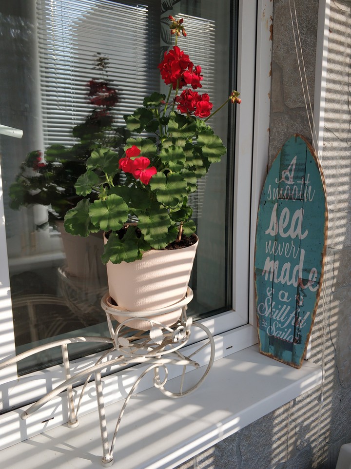 summer