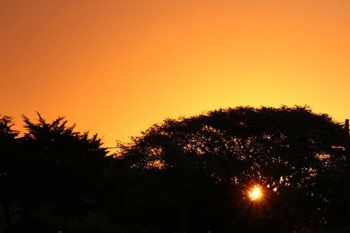 sunset