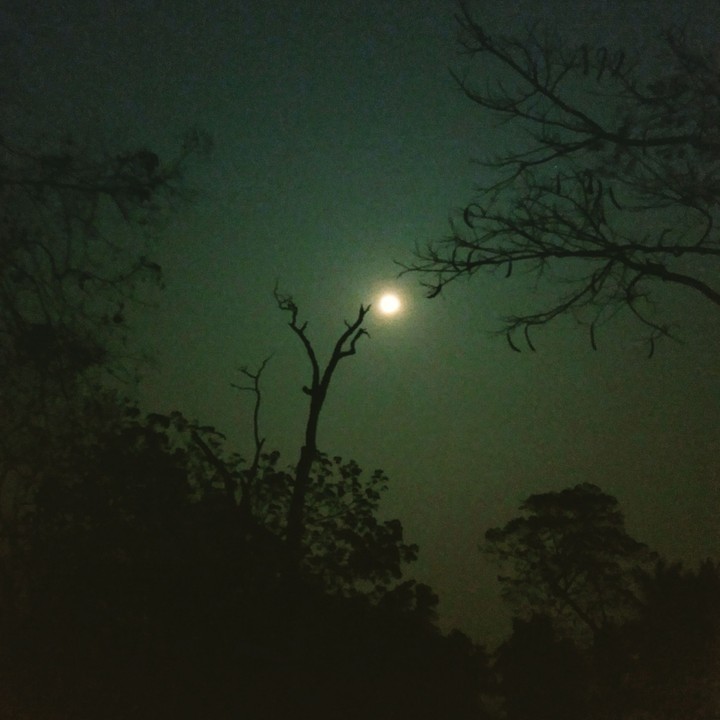 moon